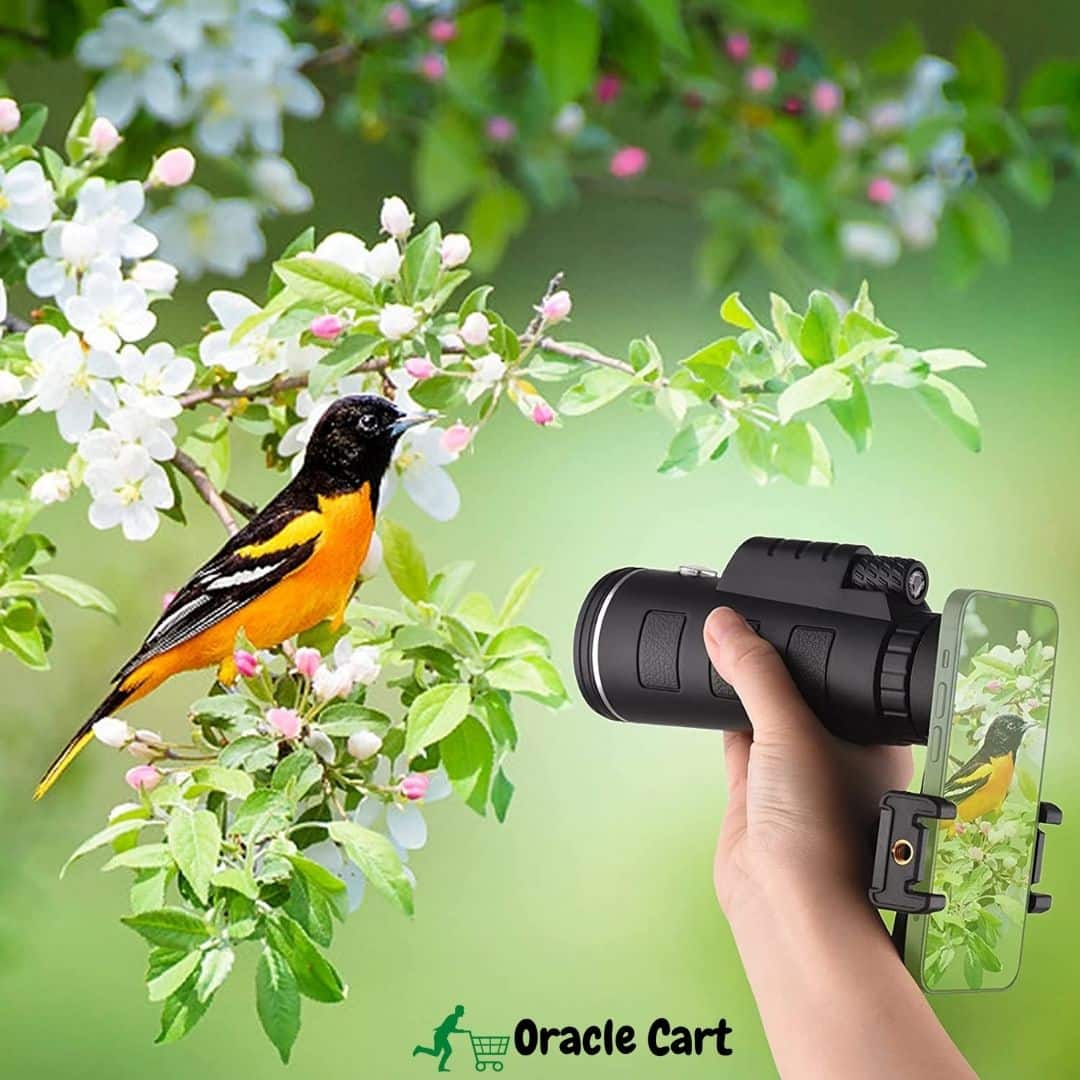 gift for photographers